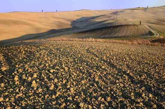 Desert Farming, Lorena Stoves, Industrial Bacteria, and More